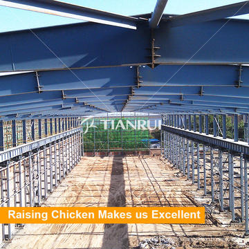 Poultry Farm Structures/Egg Chicken House Design